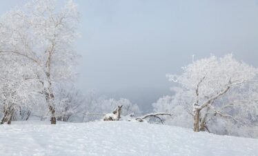 Harbin Tours-China Snow Town Tour 11