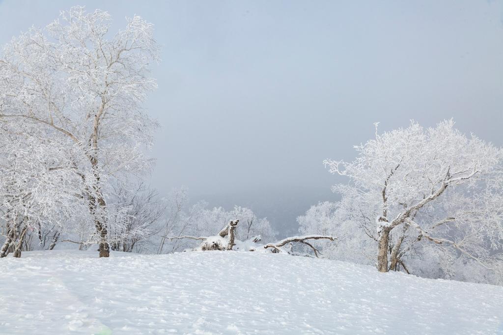 Harbin Tours-China Snow Town Tour 11