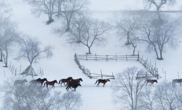 Harbin Tours-China Snow Town Tour 9