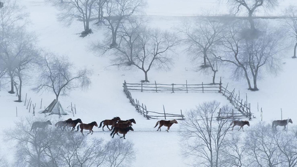 Harbin Tours-China Snow Town Tour 9