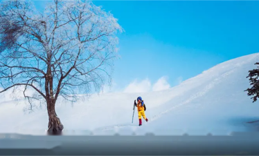 Harbin Tours-Snow Town Tour 4