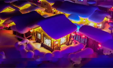 Harbin Tours-Snow Town Tour 6