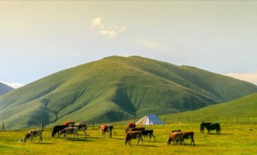 Inner Mongolia Tours,Grassland Tour 1