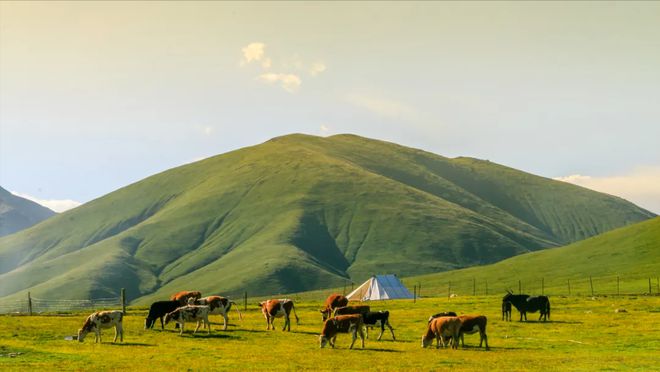 Inner Mongolia Tours,Grassland Tour 1