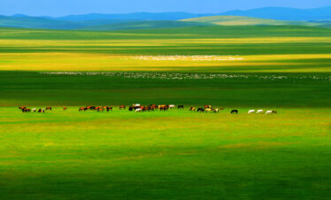 Inner Mongolia Tours,Grassland Tour 3