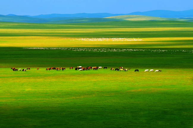 Inner Mongolia Tours,Grassland Tour 3