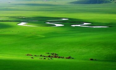 Inner Mongolia Tours,Grassland Tour 4