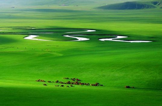 Inner Mongolia Tours,Grassland Tour 4