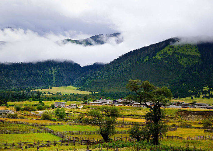 Tibet Tour