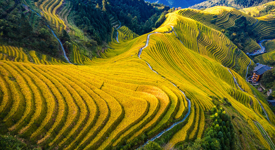 Guilin Tour Longji Terrace