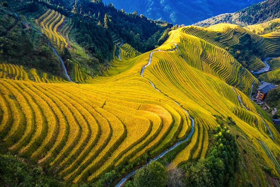 Guilin Tour Longji Terrace