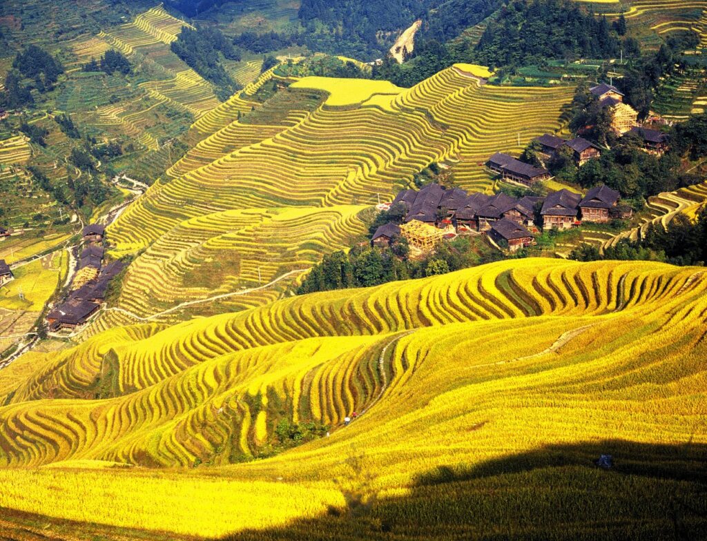 Guilin Tours Longsheng Longji Terrace