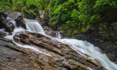 Huangshan Yellow Mountain Tour 3