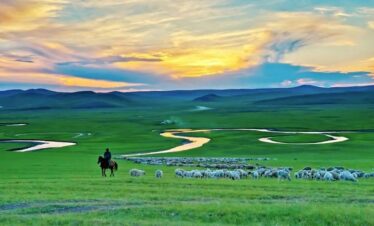 Inner Mongolia Tours,Grassland Tour