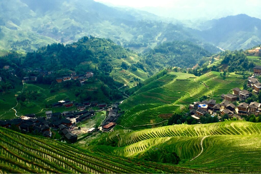 Guilin Tour Jinkeng Rice Terraces