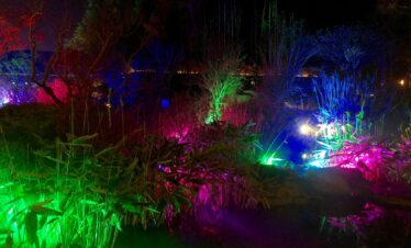 Wuxi Tour A Nianhua Bay nightview