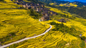 Longsheng Rice Terraces