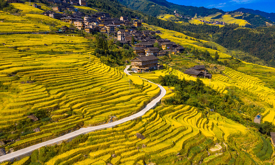 Longsheng Rice Terraces