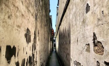 Shanghai Shore Excursions D Xitang stone skin Lane