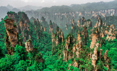 Top China Tour-Tianzi Mountain