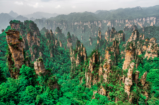 Top China Tour-Tianzi Mountain