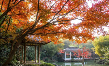 Wuxi Tour B turtle head park in autum