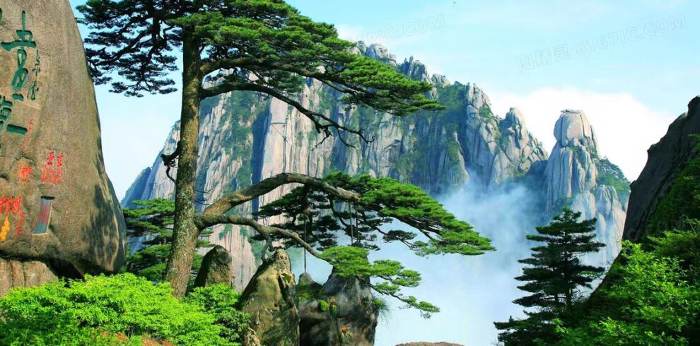 Huangshan Tour Guest-Greeting Pine