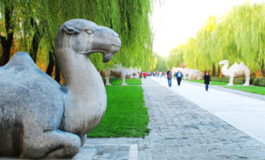 Beijing Tour Dingling